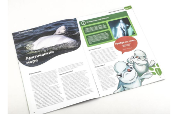 Дикие животные России № 33: Белуха