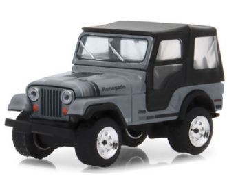 JEEP CJ-5 4х4 Silver 1979 Silver