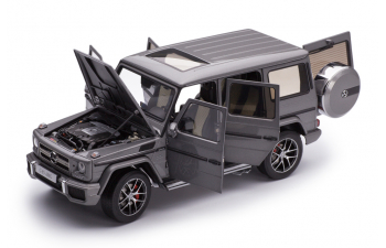 MERCEDES-AMG G63 W463 (2015), grey metallic