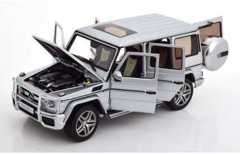 MERCEDES-BENZ G63 AMG W463 (2015), silver