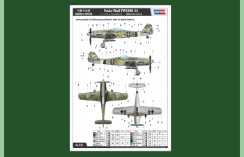 Сборная модель Focke Wulf FW 190D-13