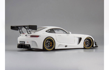 MERCEDES-BENZ AMG GT3 2015 plain body version, matt white