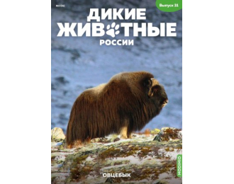 Дикие животные России № 31: Овцебык