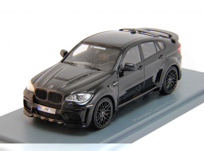 BMW X6M Hamann Tycoon Evo (2011), black met / dark anthracite