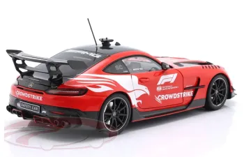 MERCEDES BENZ AMG GT V8 Black Series Safety Car Crowdstrike Season Bernd Maylander (2025), red / white
