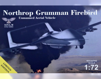 Сборная модель Самолет N.Grumman Fireberd UAV