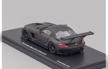 MERCEDES-BENZ SLS AMG GT3 C197 (2011), matt black