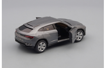 LAMBORGHINI Urus, grey metallic