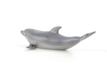 Дикие животные России № 16: Дельфин афалина (только вложение)