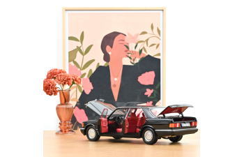 MERCEDES-BENZ 560 SEL (1991), black