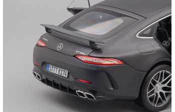 MERCEDES-BENZ AMG GT63s, gray matt