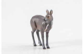 Дикие животные России № 19: Кабарга (только вложение)