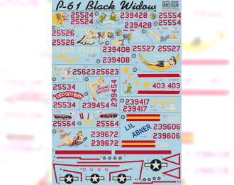 P-61 Black Widow Wet decal