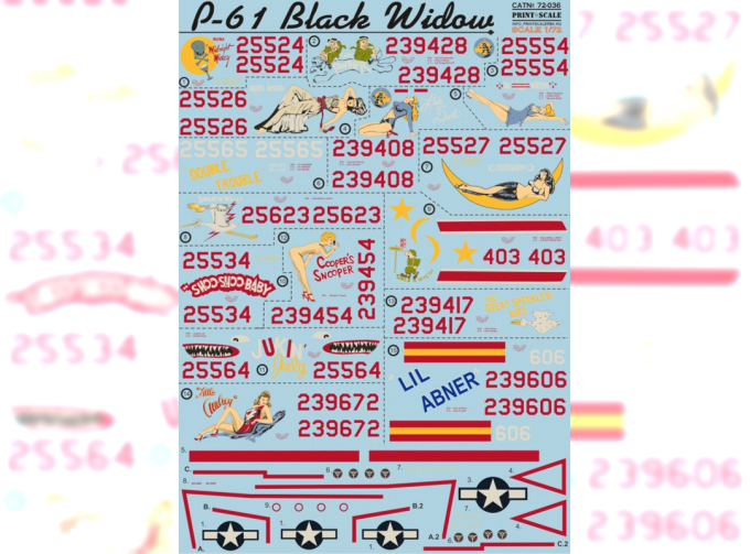 P-61 Black Widow Wet decal