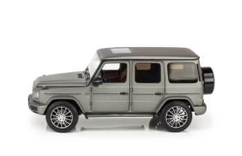 MERCEDES-BENZ W463 G-Klasse W463 II (2018), designo platinum magno