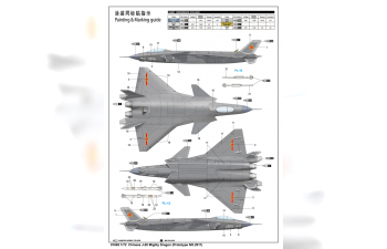 Сборная модель Китайский истребитель пятого поколения Chengdu J-20 (прототип 2011 года)