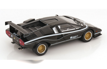 LAMBORGHINI Countach Lp500 R Quattrovalvole (1982), Black White