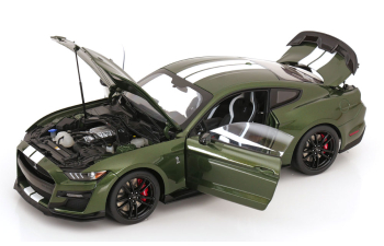 FORD Mustang Shelby GT 500, green white