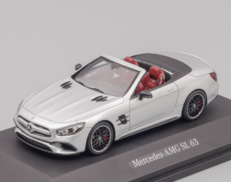 MERCEDES-BENZ AMG SL 63 (R23), silver