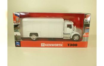 KENWORTH T300 фургон с жалюзи, белый