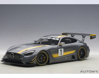 Mercedes-Benz AMG GT3 Presentation Car (grey)