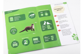 Дикие животные России № 13: Выдра