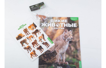 Дикие животные России № 9: Рысь