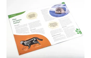 Дикие животные России № 24: Манул