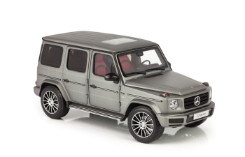 MERCEDES-BENZ W463 G-Klasse W463 II (2018), designo platinum magno