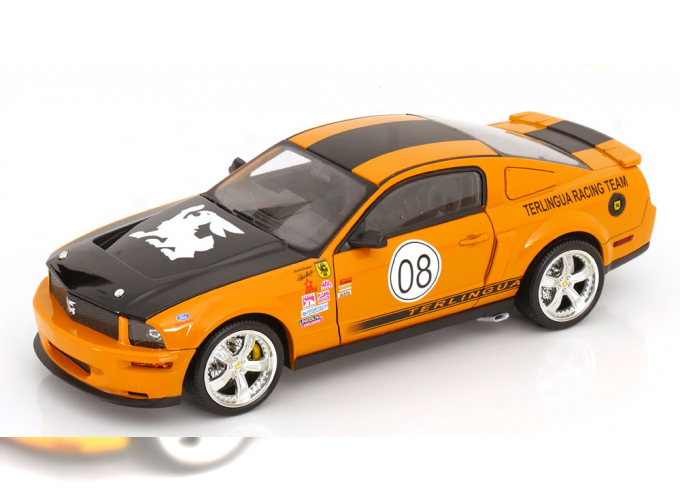 FORD Shelby Mustang Terlingua Racing Team (2008), orange black