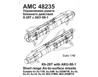 Набор для доработки Советская / российская ракета класса воздух-поверхность Х-29Т с пилоном АКУ-58-1 (NATO AS-14 Kedge B) (2 шт.)