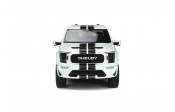 SHELBY F-150 STAR (2022), white