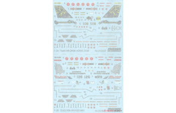 Сборная модель JASDF F-2A and F-2B