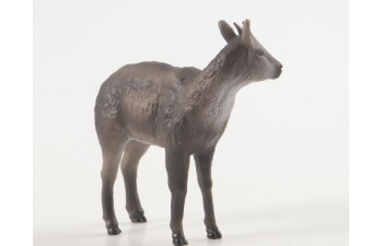 Дикие животные России № 34: Амурский горал (только вложение)