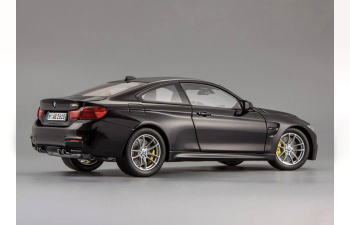 BMW M4 Coupe F82 (2014), matt black