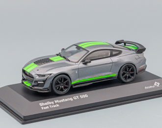 FORD Shelby Mustang GT 500 Fast Track, grey metallic light green