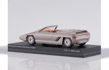 LAMBORGHINI Athon Bertone Concept Car Autosalon Turin (1980), metallic grey