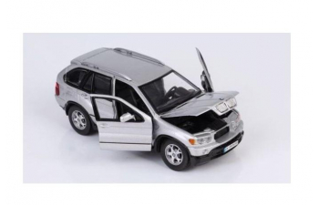 BMW X5 (2001), silver