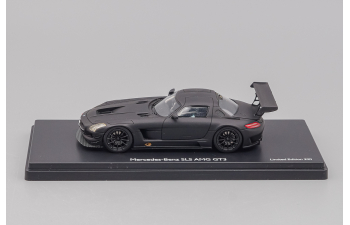 MERCEDES-BENZ SLS AMG GT3 C197 (2011), matt black