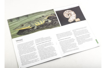 Выпуск №24. Камни и минералы. Тайны недр, Доломит