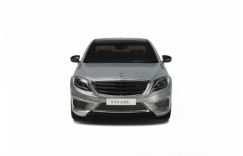 Mercedes-Benz AMG S65 2016, L.e. 1500 pcs. (silver)