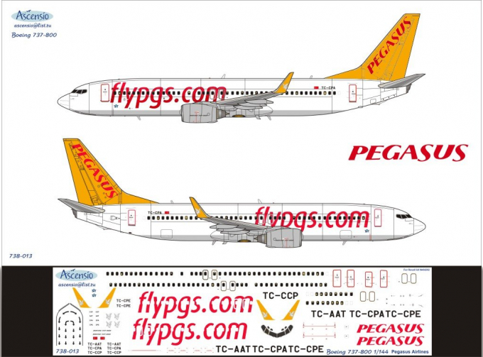 Декаль на самолет боенг 737-800 (Пегасус аrlines)