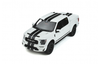 SHELBY F-150 STAR (2022), white