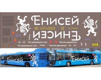 Набор декалей Автобусы Красноярска Енисей