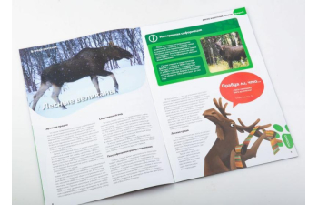 Дикие животные России № 11: Лось