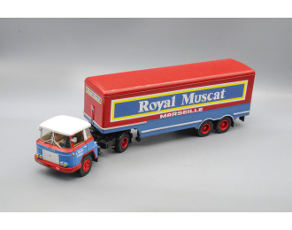 WILLEME LD 610 TBH HORIZON Royal Muscat (1959), blue/red