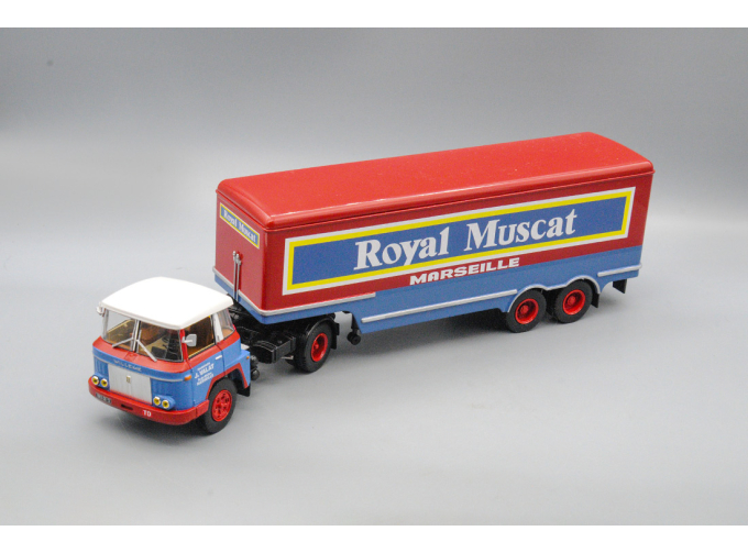 WILLEME LD 610 TBH HORIZON Royal Muscat (1959), blue/red
