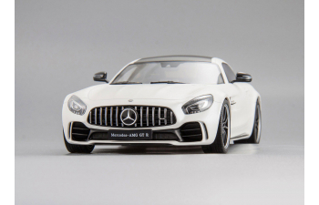 Mercedes-AMG GT-R (white)