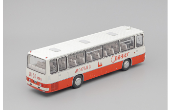 IKARUS 255.70 амарант