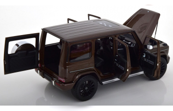 MERCEDES-BENZ G-Klasse W463 (2020), brown metallic